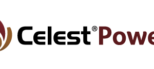 CELEST POWER Fungicida Sedaxane - Fludioxonil
