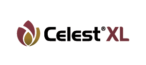 CELEST XL Fungicida concia sementi di Mais