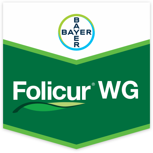 Folicur WG Fungicida Tebuconazolo