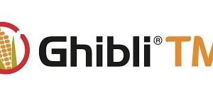 GHIBLI TM Erbicida