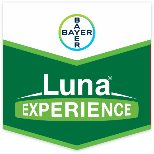 Luna Experience Fungicida Fluopyram - Tebuconazolo