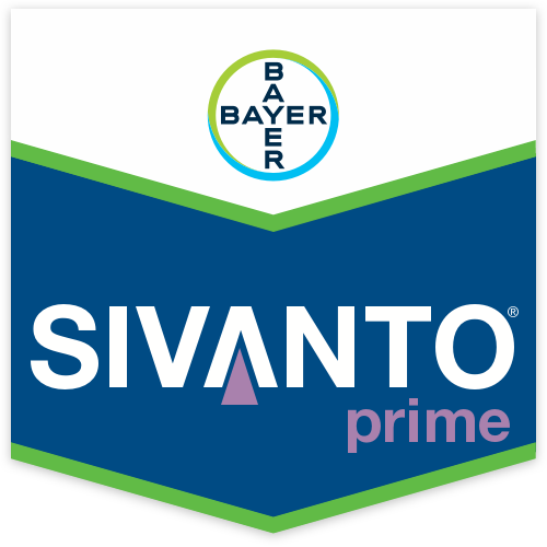 Sivanto Prime Insetticida