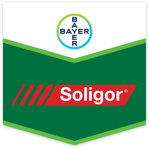 Soligor Fungicida