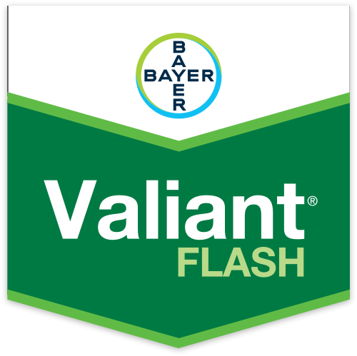 Valiant Flash Antiperonosporico