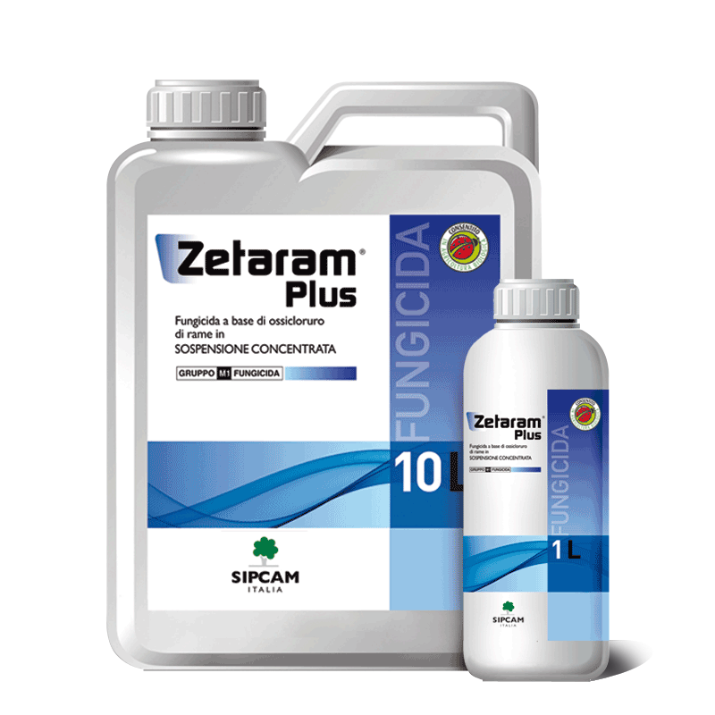 Zetaram Plus fungicida Rame 2 Zetaram Plus fungicida Rame - immagine 2