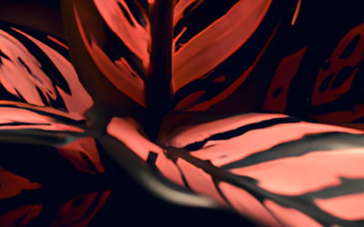 Calathea: tutto quello che devi sapere e che non ti è mai stato detto