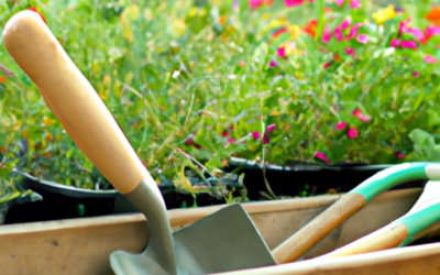 Giardinaggio: tutto quello che devi sapere su tipo di attività da poter svolgere