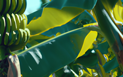 Banano: Come Coltivarlo e Farlo Crescere anche in Italia