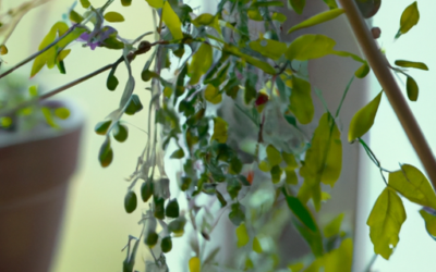 Piante pendule da interno : Tutto quello che devi sapere, come trattarla naturalmente
