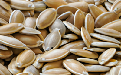 Semi di zucca: salute, alimentazione nutrizione, come ottenerli dal tuo orto