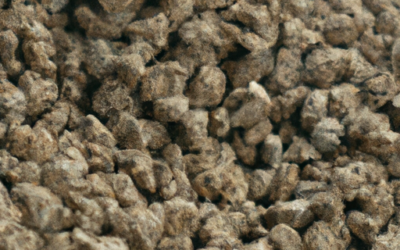 Vermiculite: tutto quello che devi sapere, trattamenti e come coltivarla