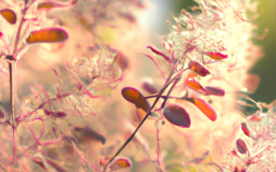 Cotinus coggygria: Tutto quello che devi sapere – Guida