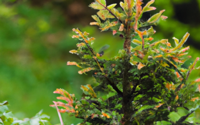 Ligustro albero: Tutto quello che devi sapere – Guida