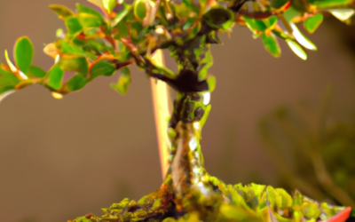 Bonsai carmona: Tutto quello che devi sapere – Guida