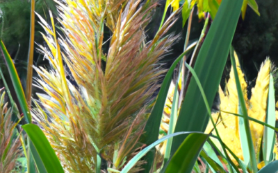 Phormium: Tutto quello che devi sapere – Guida