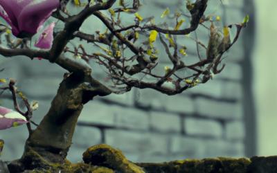 Bonsai magnolia: Tutto quello che devi sapere