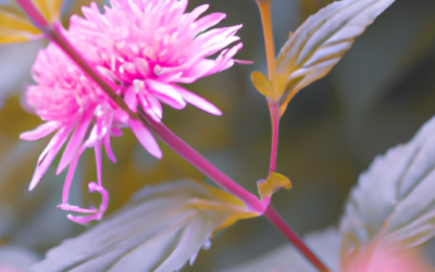 Pianta fucsia: Tutto quello che devi sapere – Guida