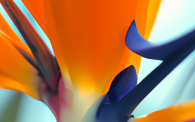 Fiore strelitzia: tutto quello che devi sapere
