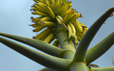 Fiore di agave: Tutto quello che devi sapere
