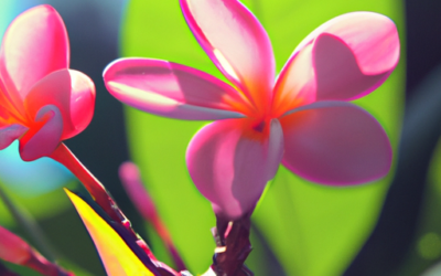Plumeria pianta: Tutto quello che devi sapere