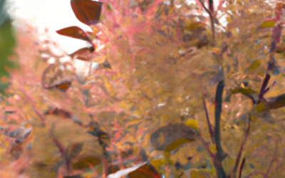 Cotinus coggygria: Tutto quello che devi sapere – Guida