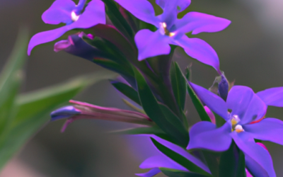 Lobelia erinus: Tutto quello che devi sapere – Guida