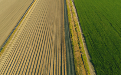 Terreno sabbioso: tutto quello che devi sapere