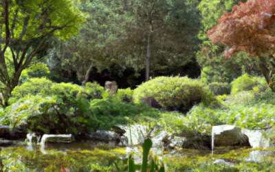 Giardini giapponesi: Tutto quello che devi sapere – Guida