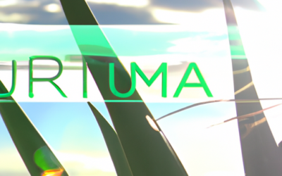 Phormium: Tutto quello che devi sapere – Guida