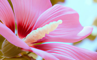 Pianta Fucsia: Guida 2026 a Coltivazione, Cura e Difesa