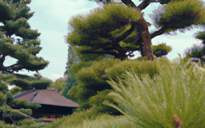 Giardini giapponesi: Tutto quello che devi sapere – Guida