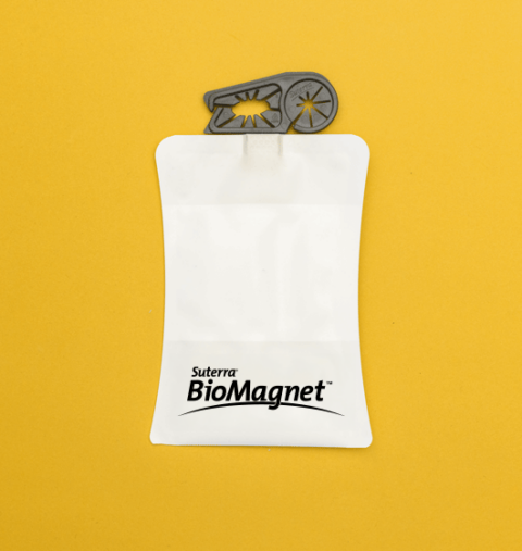 BioMagnet™ ORO - Mosca Olivo - Bactrocera oleae