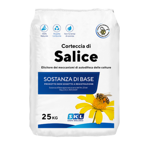 Corteccia di Salice