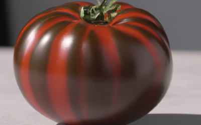 Pomodoro nero proprieta: guida completa 2024