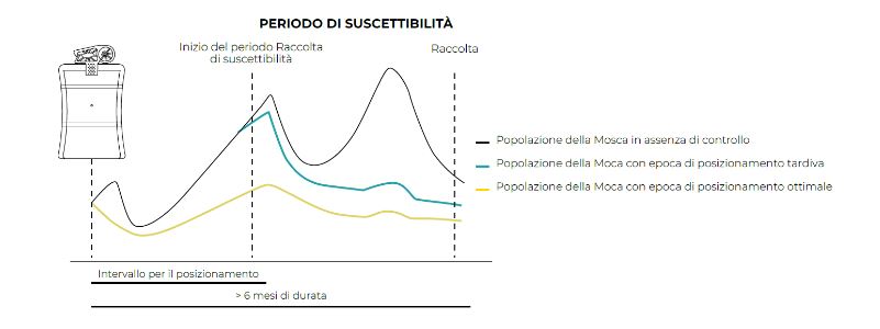 Bio Magnet Oro: la nuova soluzione per la Mosca dell'Olivo 2 foto biomagnet