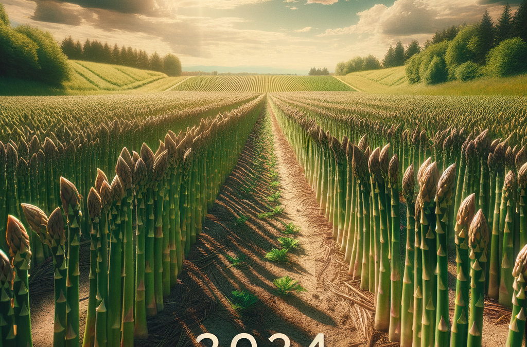 Cura delle Piante di Asparago: Tecniche per Giugno 2024