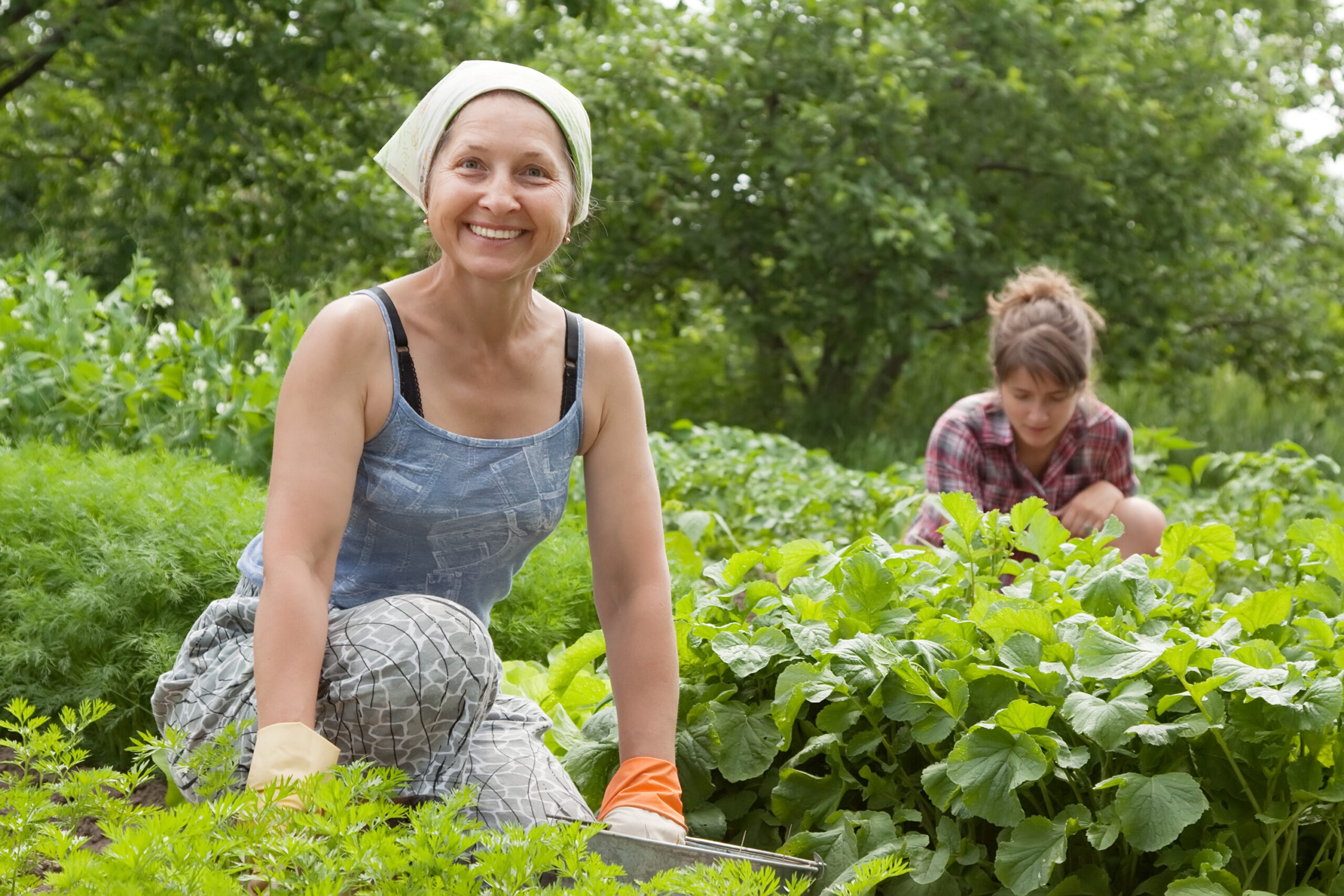 Agricoltura Biologica vs Convenzionale: Cosa ci raccontano 40 anni di ricerca 1 shutterstock 86776852 scaled