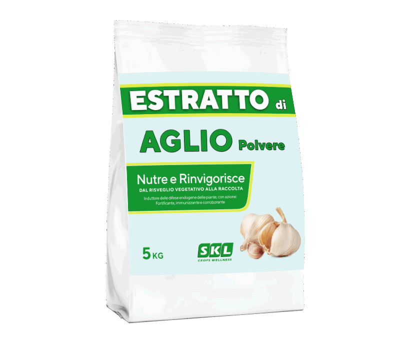 Malattie dell’Albicocco: Guida 2026 a Sintomi e Difesa