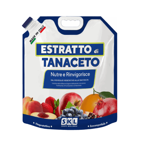estratto di tanaceto scaled