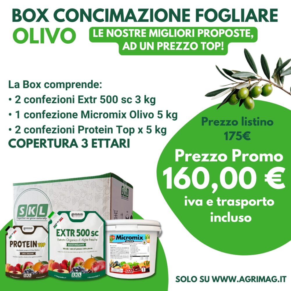 BOX TRATTAMENTO FOGLIARE