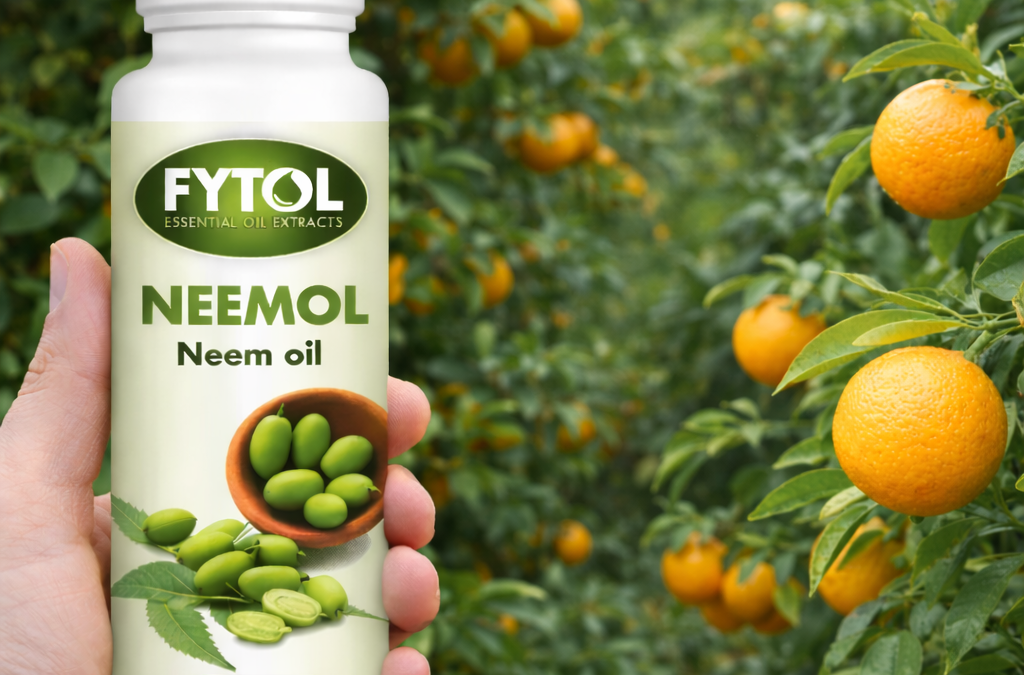 Olio di Neem per piante: guida completa all’uso, benefici, dosi e applicazioni in agricoltura biologica