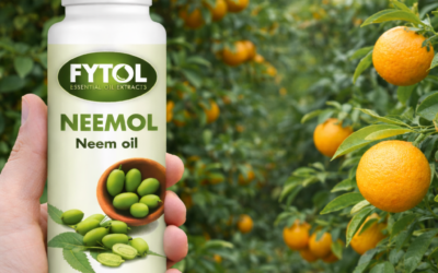 Olio di Neem per piante: guida completa all’uso, benefici, dosi e applicazioni in agricoltura biologica
