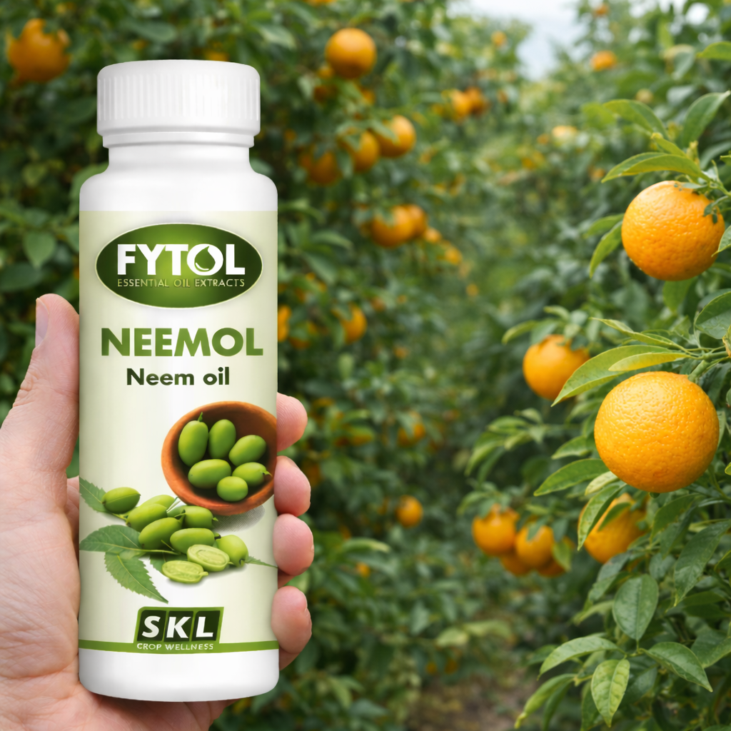 Olio di Neem per piante: guida completa all’uso, benefici, dosi e applicazioni in agricoltura biologica 10 Olio di Neem per piante: guida completa all’uso, benefici, dosi e applicazioni in agricoltura biologica