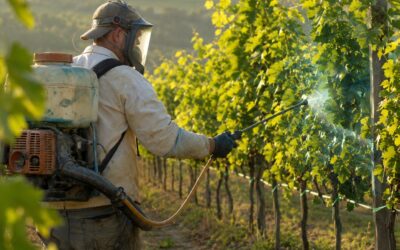 Fungicidi Rameici: Guida 2026 al Rame in Agricoltura