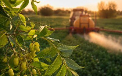 Azadiractina: Guida 2026 all Insetticida Naturale del Neem
