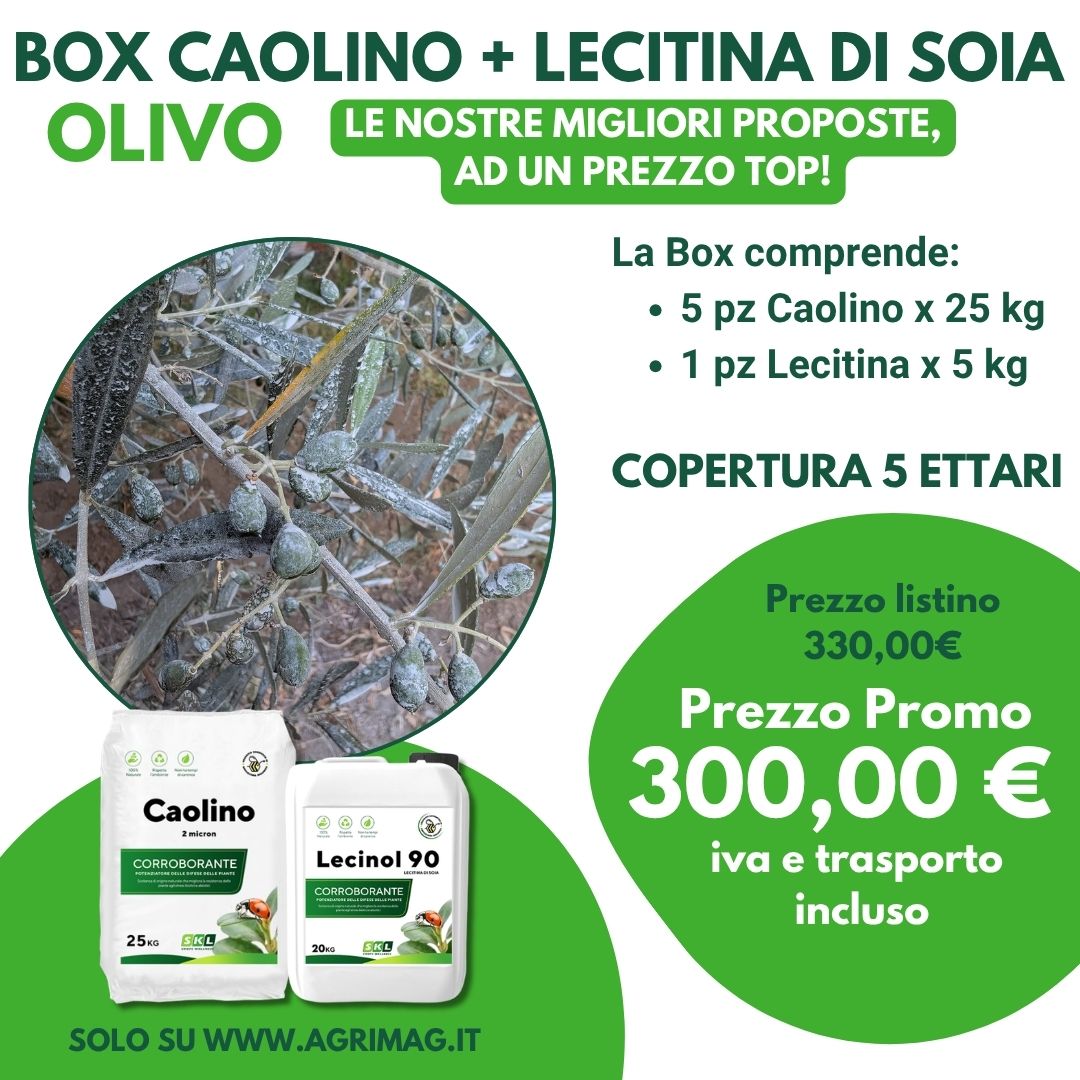 Box Protezione Olivo: Caolino + Lecitina di Soia 1 Box Protezione Olivo: Caolino + Lecitina di Soia